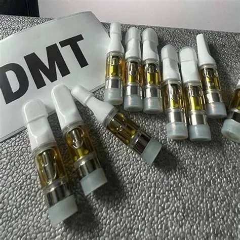 best DMT cartridge