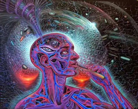 DMT vs ayahuasca